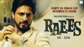 Shah Rukh Khan, Shah Rukh Khan Birthday, Shah Rukh Khan Dilwale, Shah Rukh Khan Raees, Shah Rukh Khan Fan, Shah Rukh Khan Don 3, Dilwale, Raees, Fan, Don 3, Gauri Shinde's Next, Shah Rukh Khan upcoming Movies, Shah Rukh Khan Latest Movies, Shah Rukh Khan recent Movies, Entertainment news